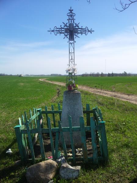 Kryžius prie buvusios Felicijos ir Antano Karpavičių sodybos Rojūnų kaime